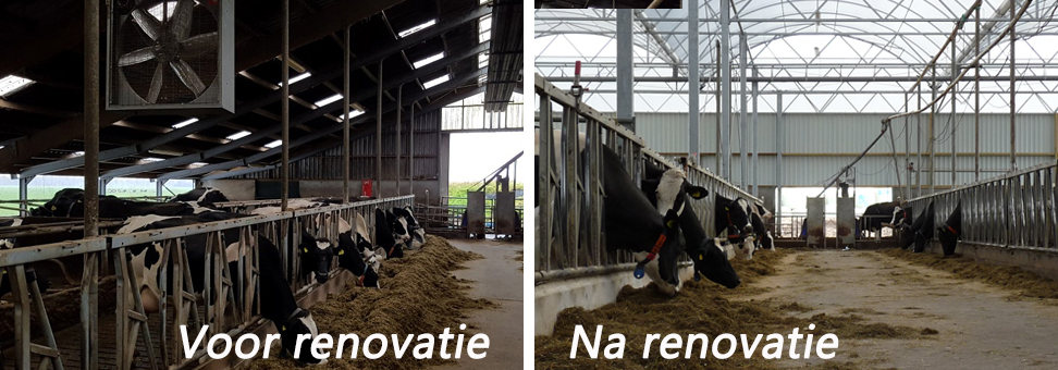 stalrenovatie - beelden van voor en na het renoveren van de stal
