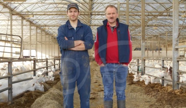 "Melkgeiten die tegen een stootje kunnen"