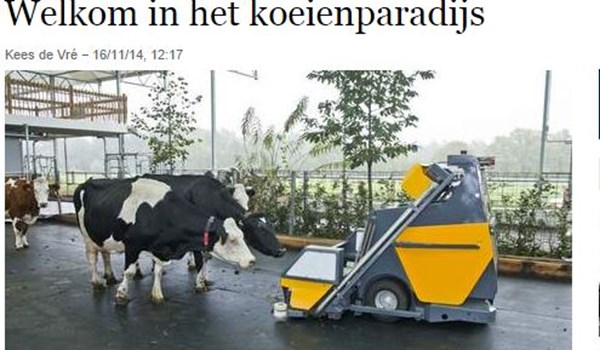 Reportage 'Trouw' over Koeientuin