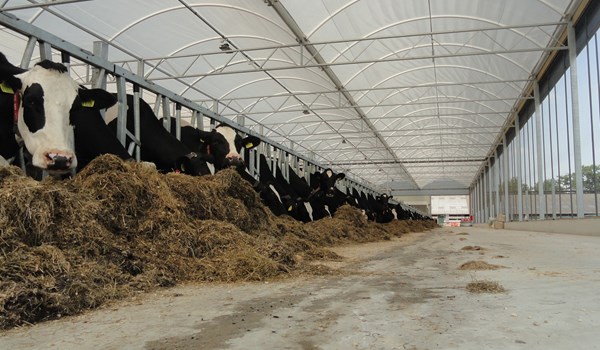 Serrestal genomineerd als mooiste gebouw Zeeland!