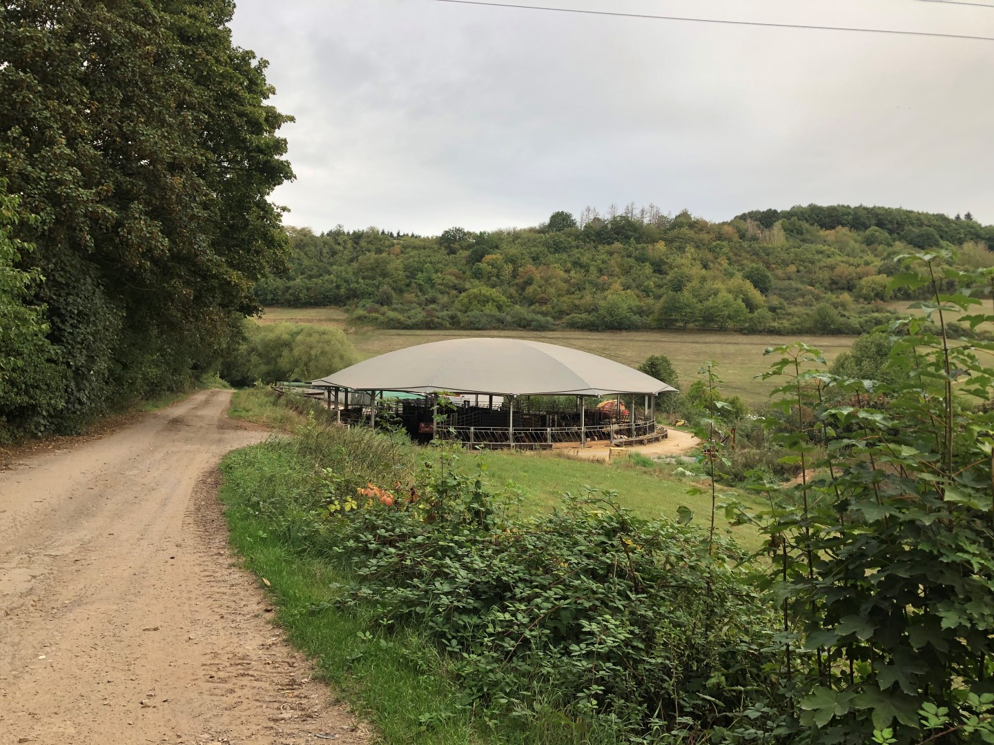 Roundhouse Rijnland-Palts