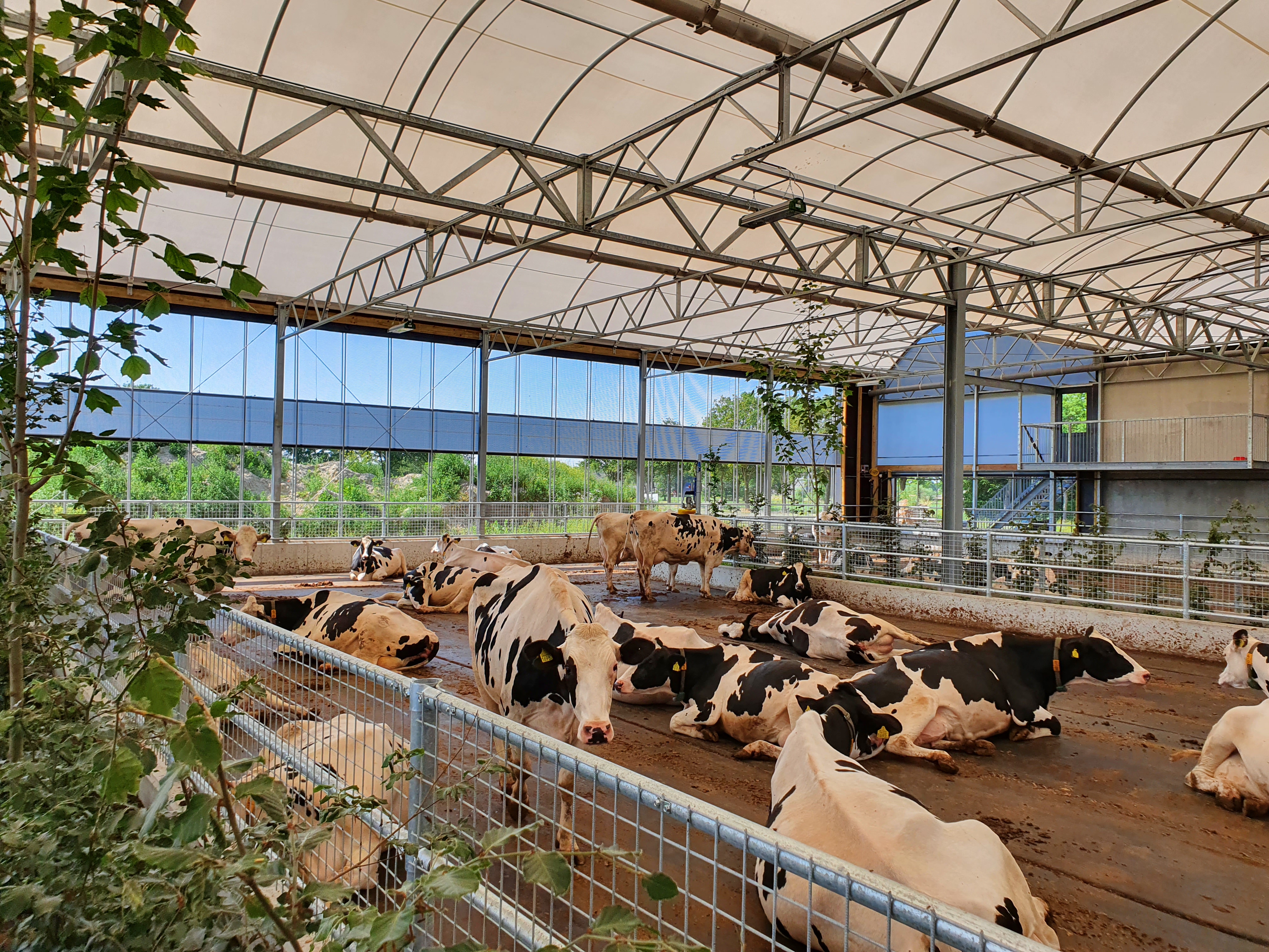 Koeientuin Tierelier