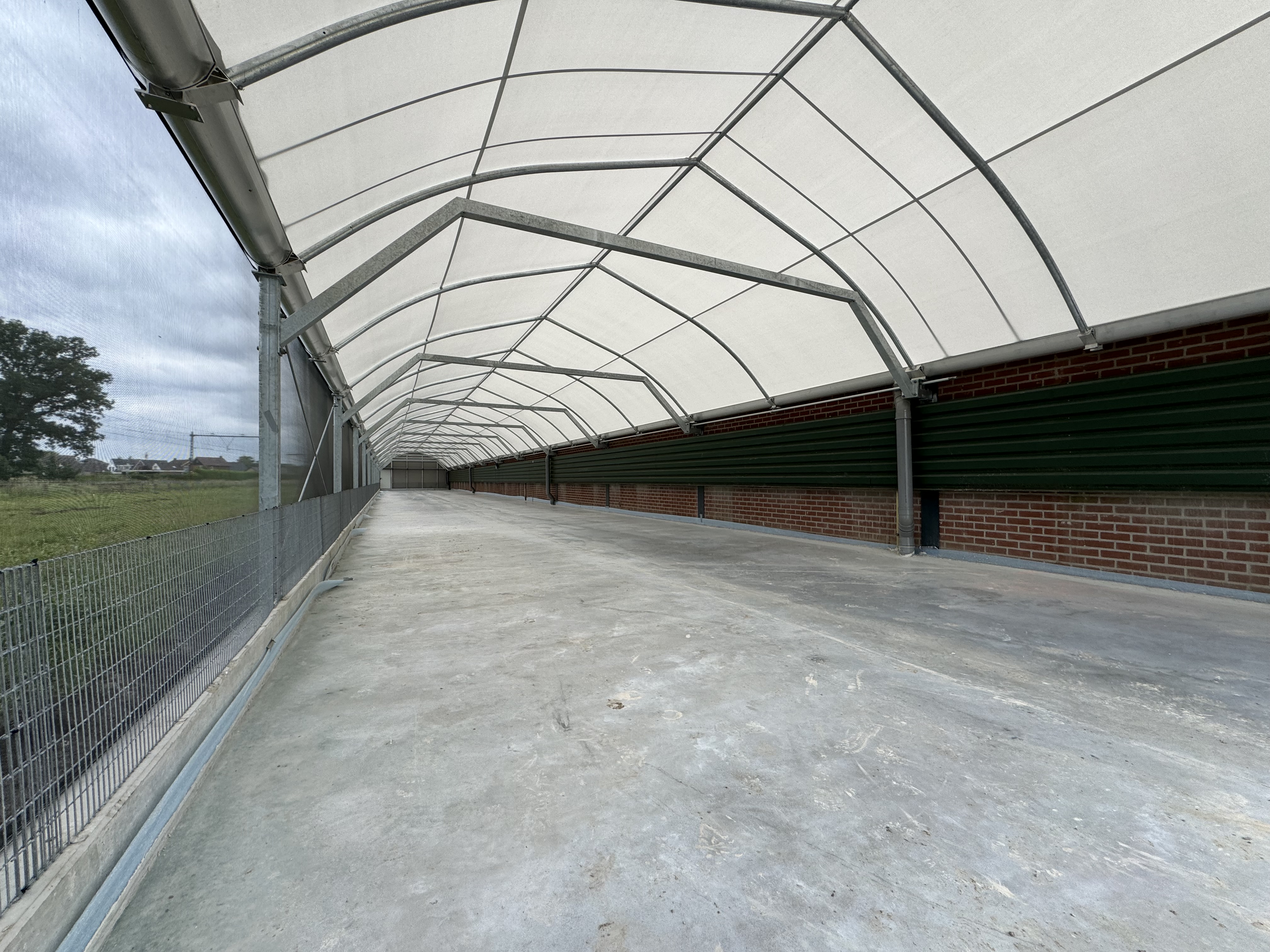 Overdekte uitloop voor vleeskuikens in Overijssel 