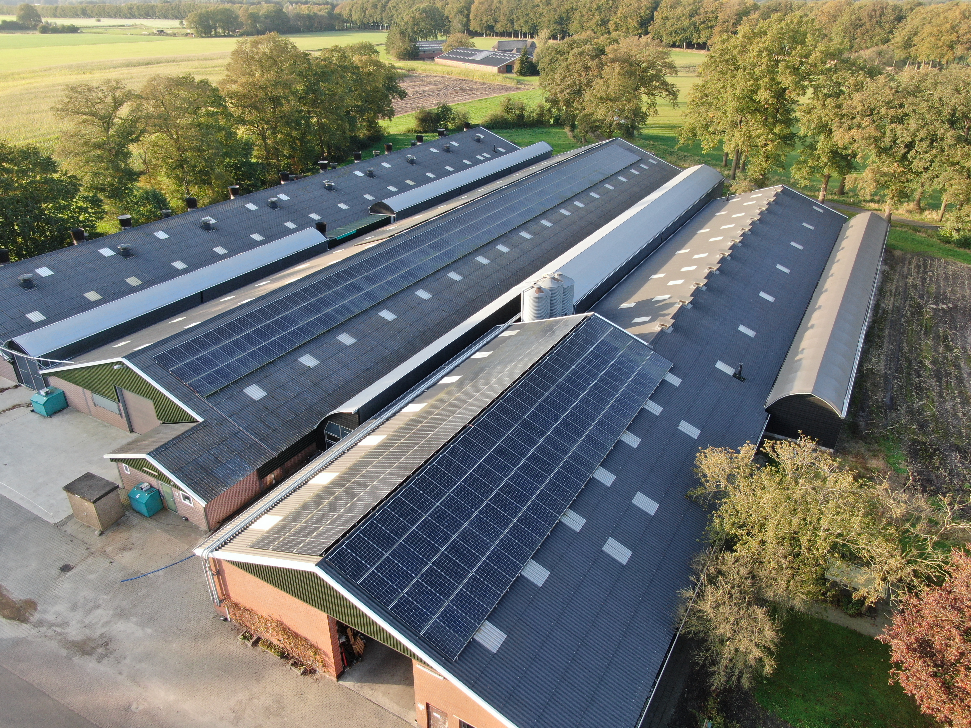 Overdekte uitloop voor vleeskuikens in Oost-Nederland