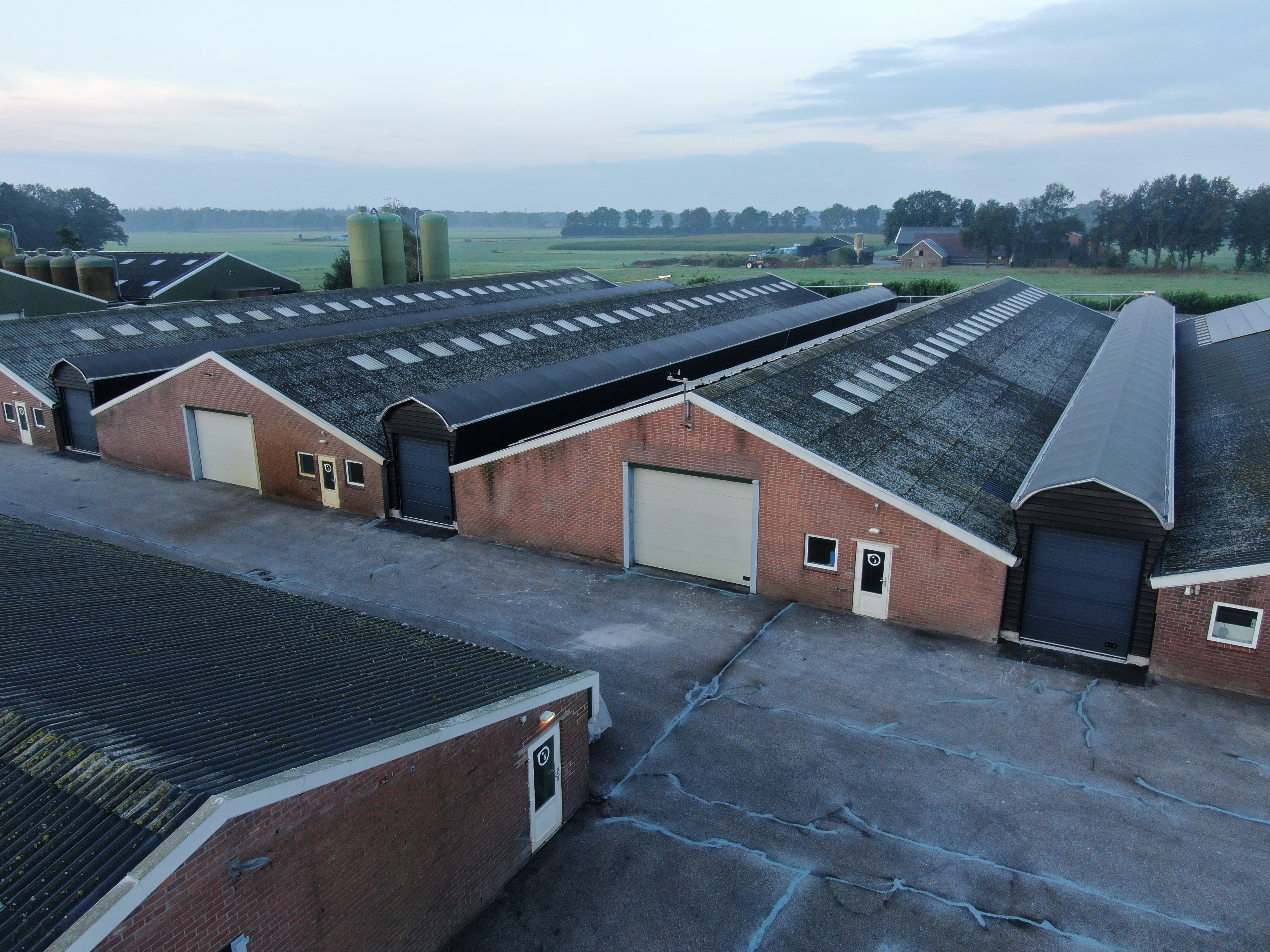 Overdekte uitloop voor vleeskuikens in Overijssel 