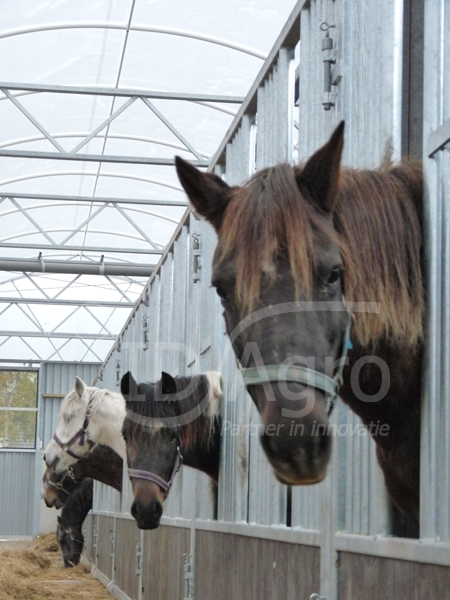 Horse Lounge voor paardenmelkerij