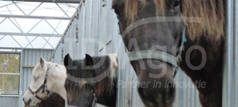 Horse Lounge voor paardenmelkerij