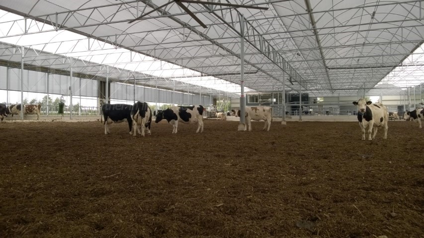 Opgeleverd in Benschop Serrestal met vrijloop