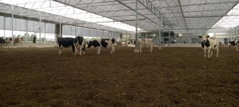 Opgeleverd in Benschop Serrestal met vrijloop