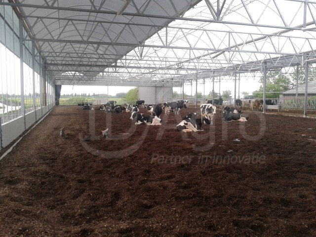 Opgeleverd in Zuid-Holland; Vrijloopstal voor 100-120 melkkoeien