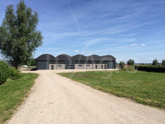 Serrestal voor 150 melkkoeien in Zuid-Holland