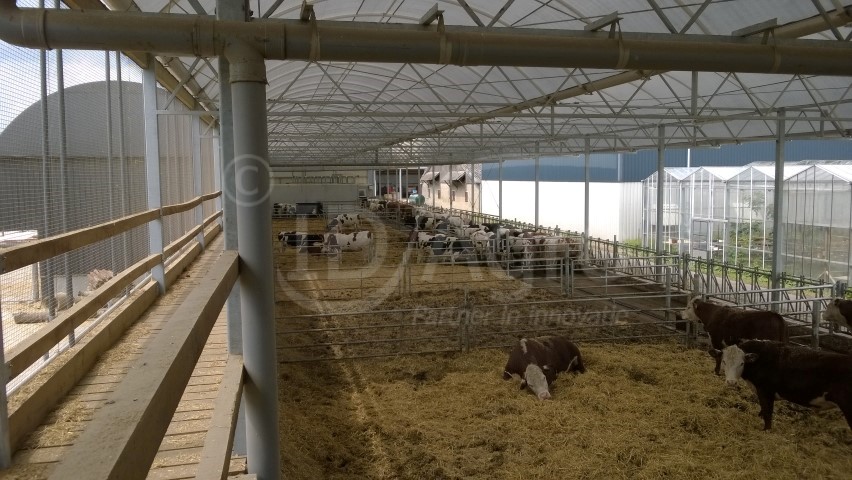 Serrestal met vrijloop in Lelystad (Fl)