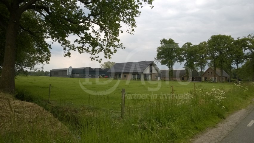 Serrestal voor 80 melkkoeien in Doornspijk (Gld)