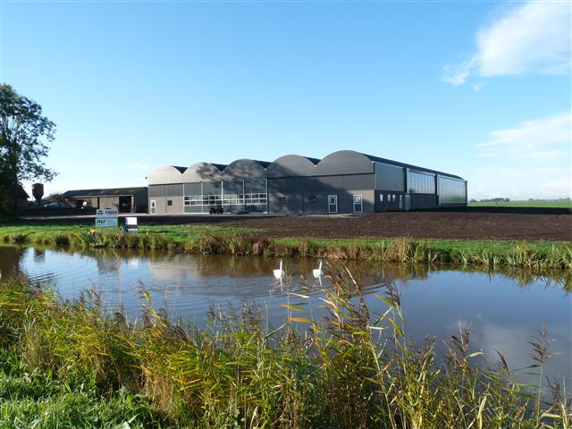 Melkveestal 200 ligboxen in Mastenbroek (Ov)