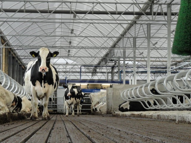 Serrestal opgeleverd in Drachstercompagnie (Fr)