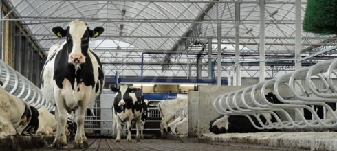 Serrestal opgeleverd in Drachstercompagnie (Fr)