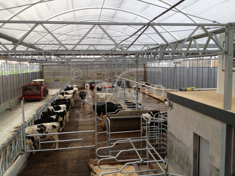 Opgeleverd 25-11-2012 Serrestal in Overijssel voor 70 melkkoeien met werktuigenberging