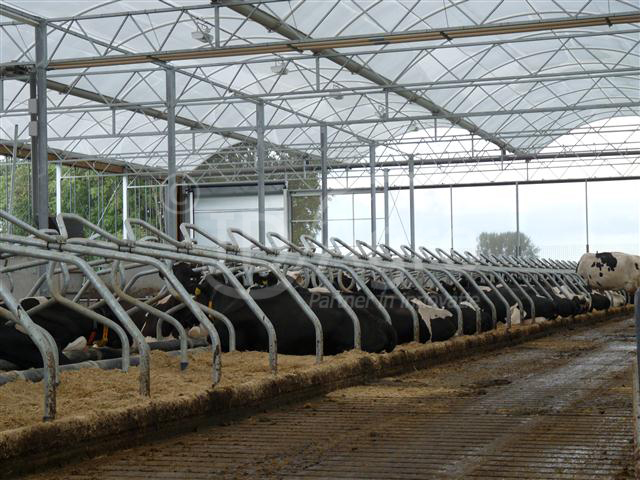 Opgeleverd 5 rijige ligboxenstal voor 170 melkkoeien in Gelderland