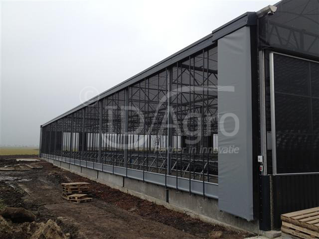 Ligboxenstal 200 stuks, Zuid- Holland