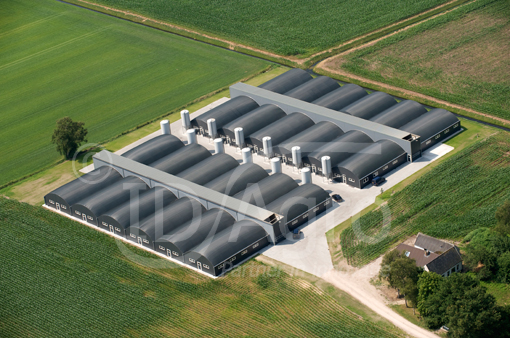 Serrestal voor Vleesvarkens