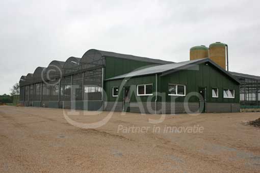 Stal voor 180 Melkkoeien in Brabant