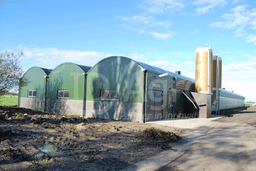 Serrestal voor Leghennen