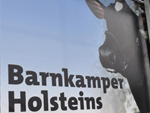 Barnkamper Holsteins