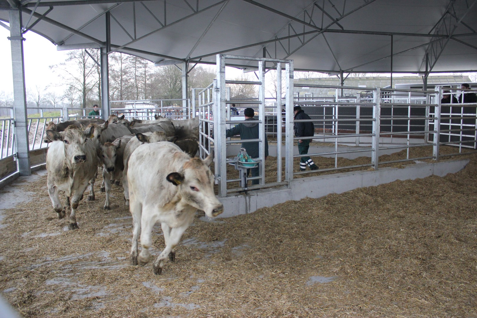 Roundhouse in Overijssel