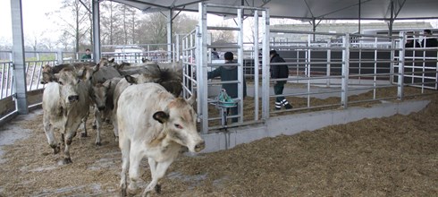 Roundhouse in Overijssel