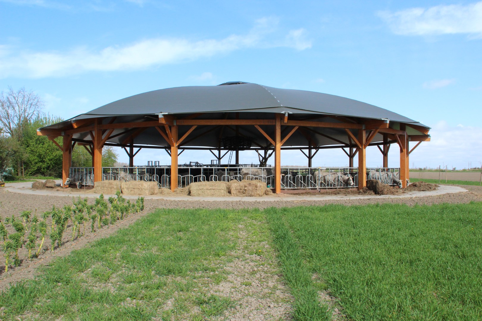 Bijzonder houten Roundhouse in Flevoland