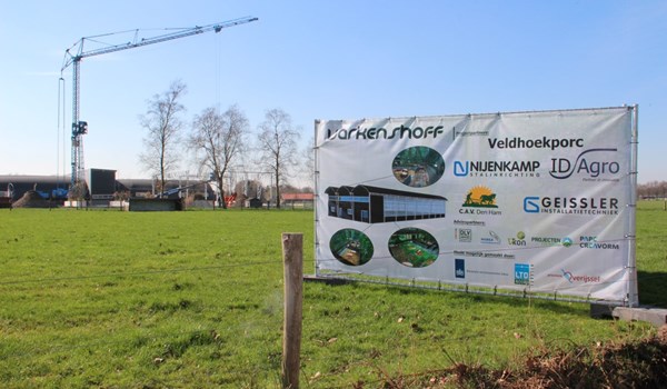 Staalconstructie bij bijzondere varkensstal gaat de lucht in!