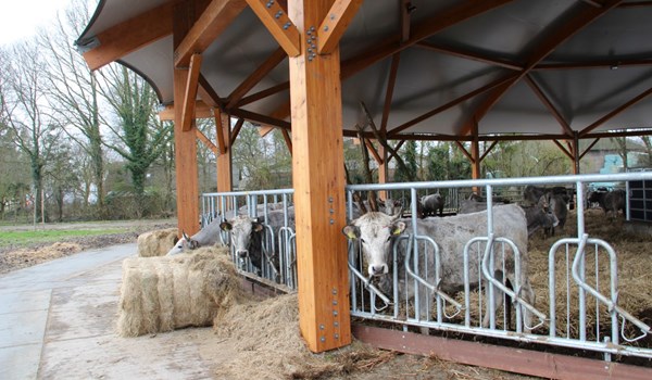 Veel persaandacht voor bijzonder houten Roundhouse in Flevoland