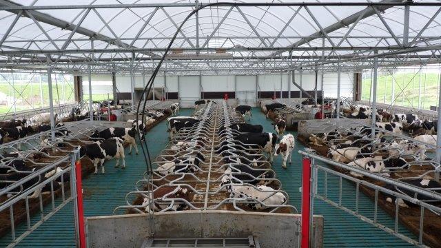 Opgeleverd Serrestal in Babberich (Gld)