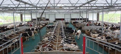 Opgeleverd Serrestal in Babberich (Gld)