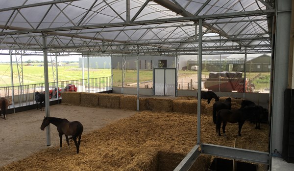 Open Dag Paardenrusthuis De Koggehoeven