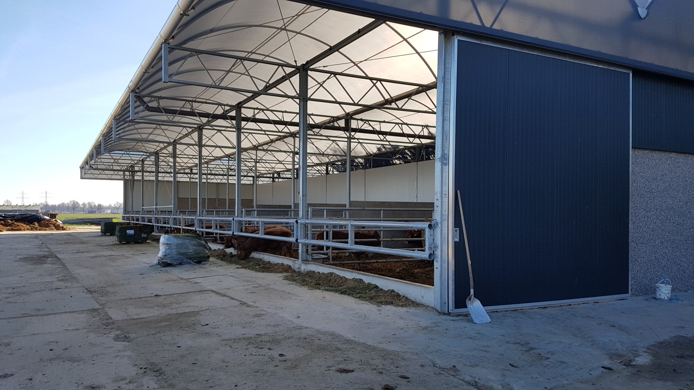 Vleesvee stal In Weert (Li)