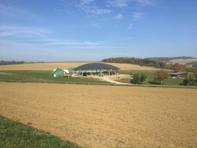 Roundhouse Stal voor zoogkoeien 