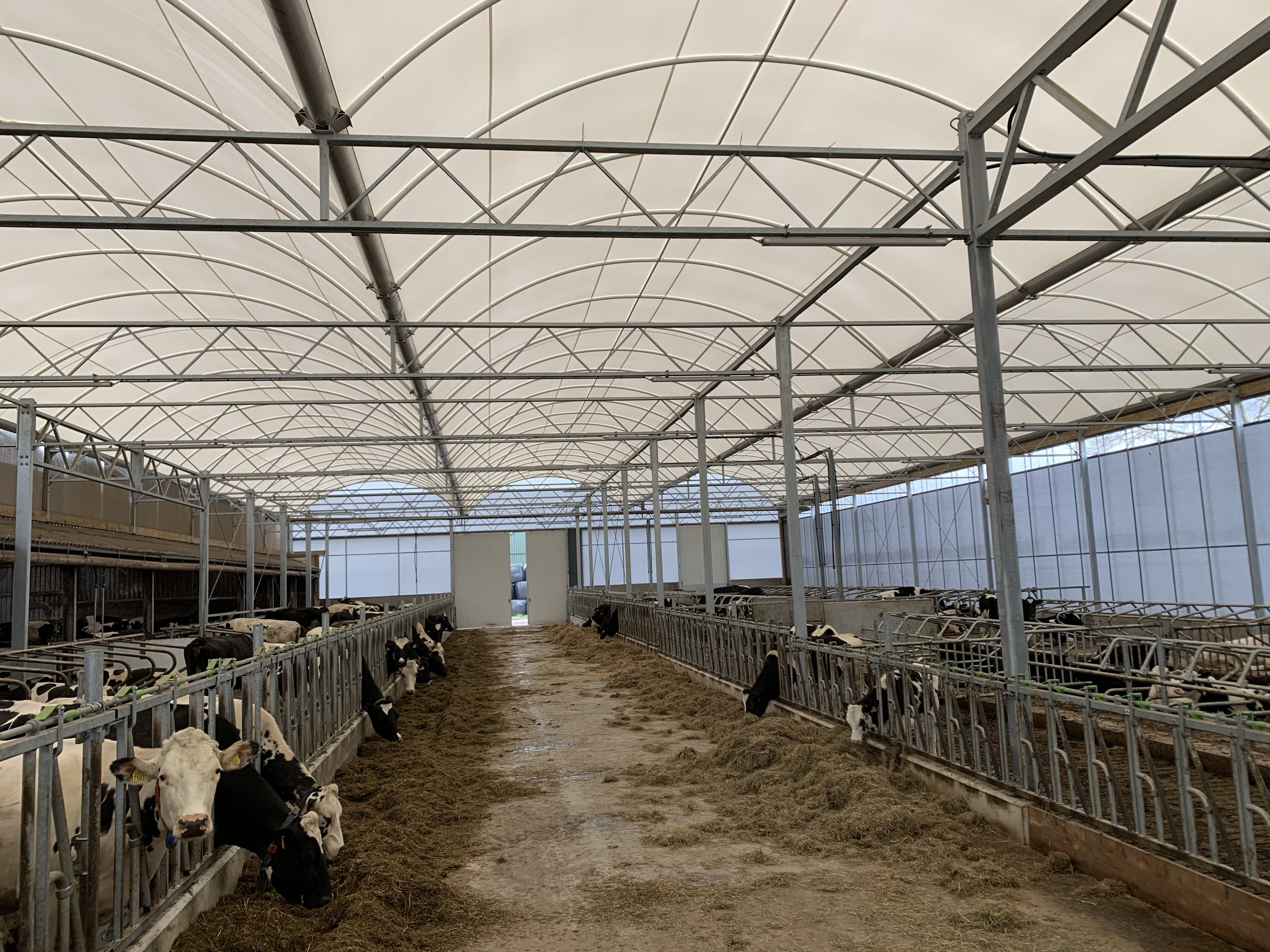 Renovatie jongveestal in Havelte (Dr)