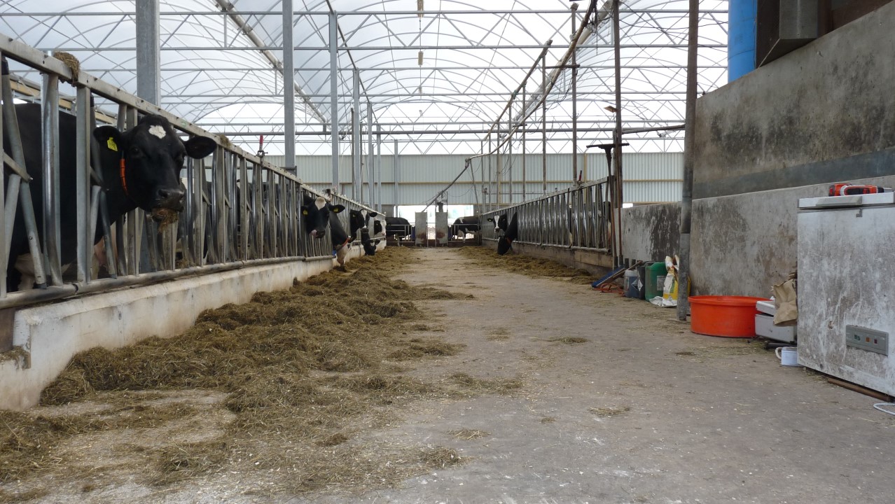 Stalrenovatie in Dalmsholte (Ov)