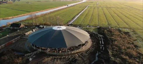 120 melkkoeien in een Roundhouse op eiland