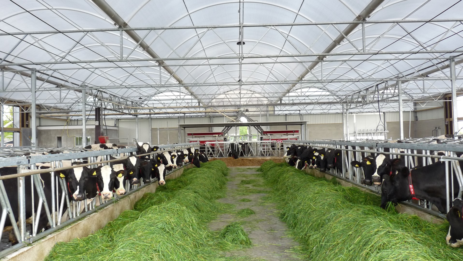 Compacte serrestal opgeleverd in Bruchterveld (Ov)