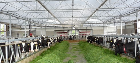 Compacte serrestal opgeleverd in Bruchterveld (Ov)