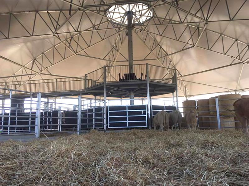 Roundhouse voor belevenisboerderij